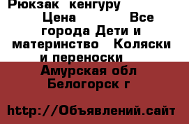 Рюкзак -кенгуру Baby Bjorn  › Цена ­ 2 000 - Все города Дети и материнство » Коляски и переноски   . Амурская обл.,Белогорск г.